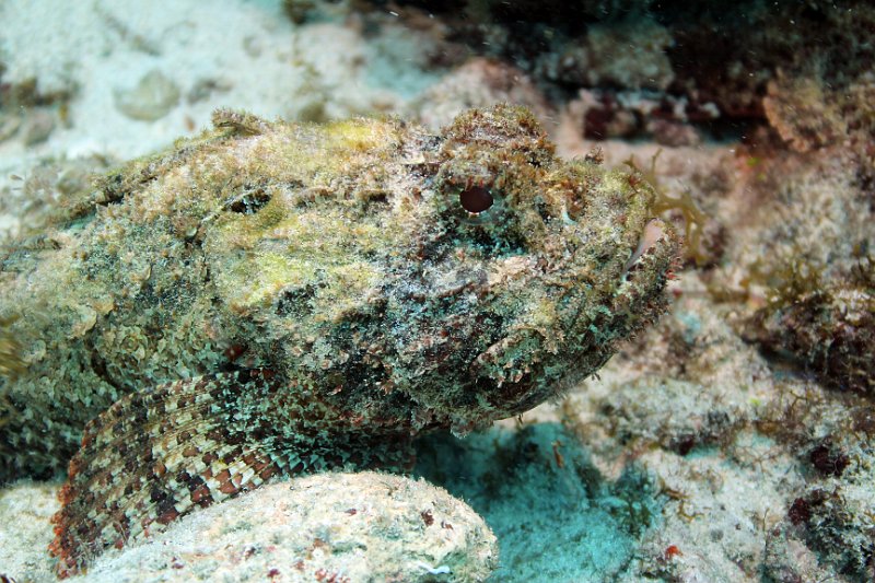 Curacao 04-12 146.jpg